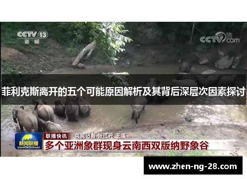 菲利克斯离开的五个可能原因解析及其背后深层次因素探讨