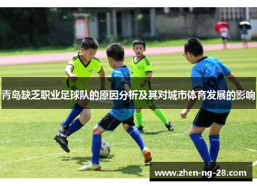 青岛缺乏职业足球队的原因分析及其对城市体育发展的影响 青岛缺乏职业足球队的原因分析及其对城市体育发展的影响