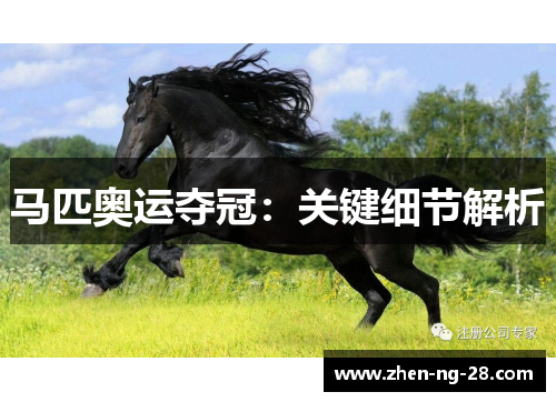 马匹奥运夺冠:关键细节解析 马匹奥运夺冠:关键细节解析