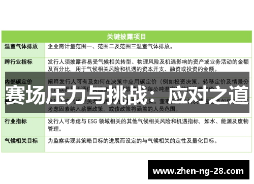 赛场压力与挑战：应对之道