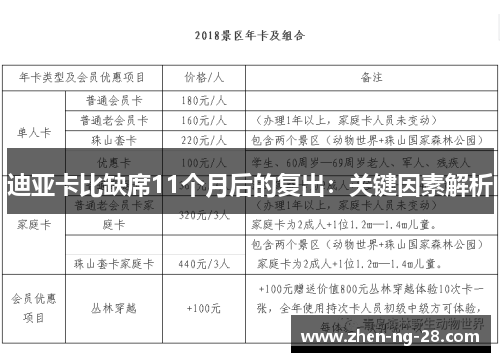 迪亚卡比缺席11个月后的复出：关键因素解析