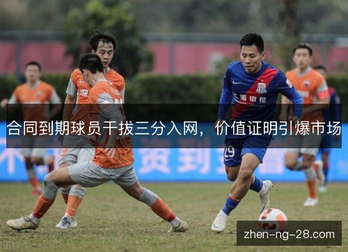 合同到期球员干拔三分入网,价值证明引爆市场 合同到期球员干拔三分入网,价值证明引爆市场